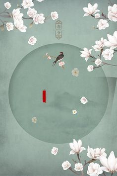 含羞草红豆视频社区